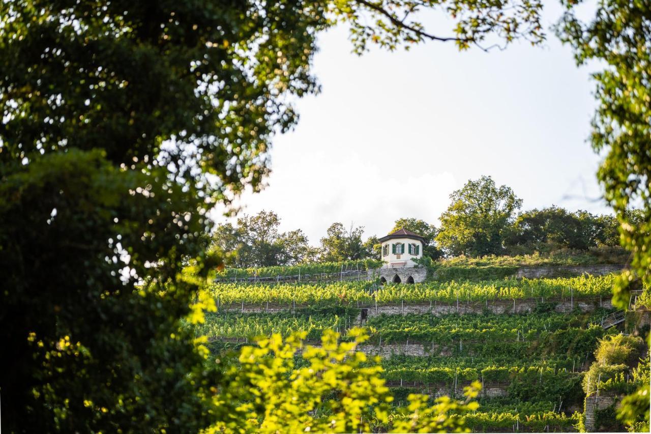 Schlosshotel Horneck Gundelsheim  Exterior photo